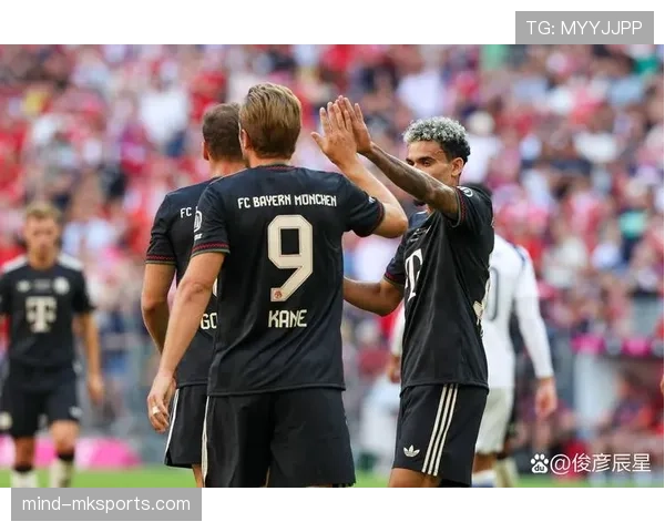 热刺新援闪耀赛场，强势助推球队竞争力稳步攀升