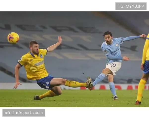 布莱顿海鸥状态回暖,锋线闪耀助球队强势领跑英超 布莱顿海鸥状态回暖,锋线闪耀助球队强势领跑英超