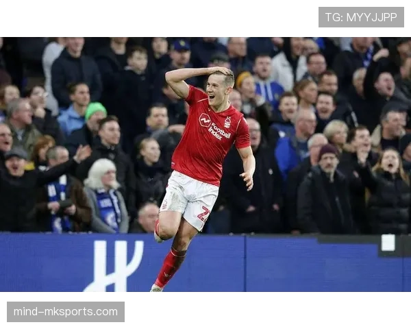 布莱顿球员近期表现稳健，整体状态持续提升